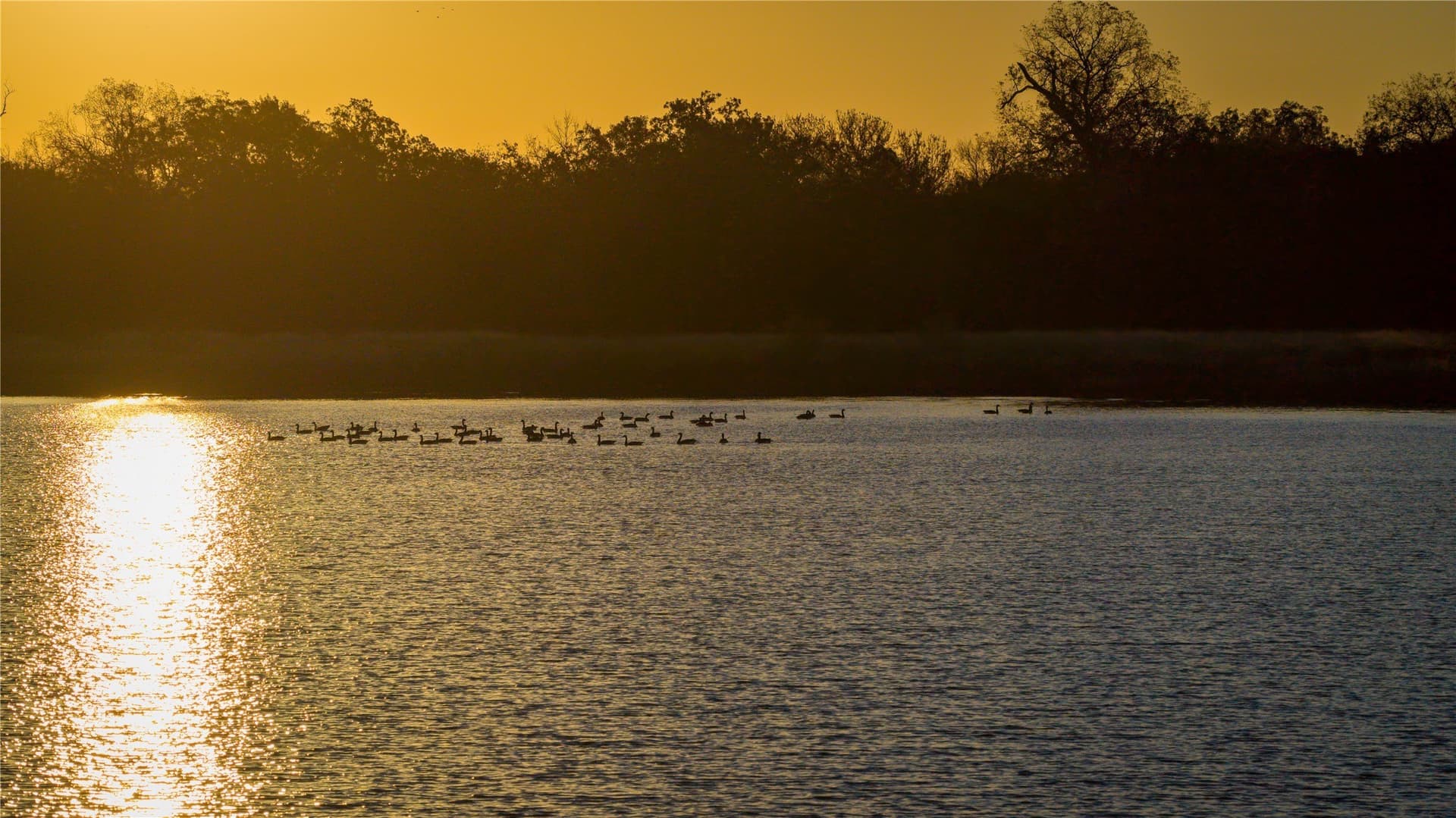 920 acres in Wise County featured view