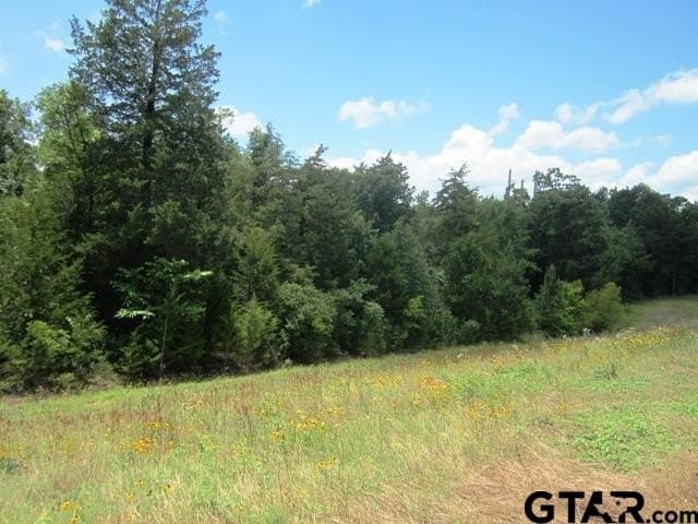 20 acres in Smith County - photo 3