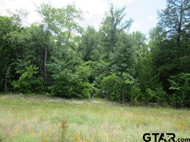 20 acres in Smith County - photo 4