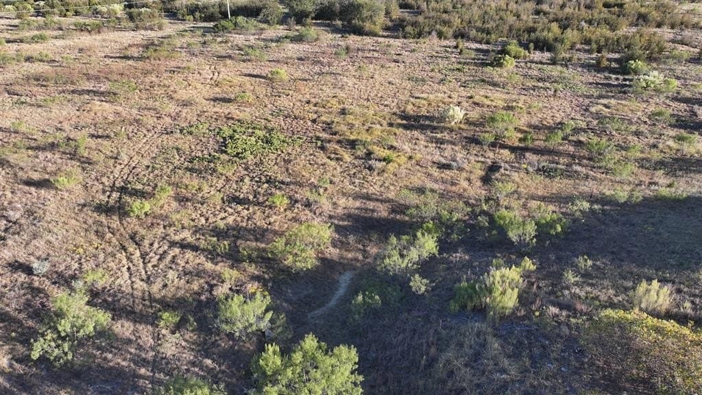 8.89 acres in Palo Pinto County - photo 48