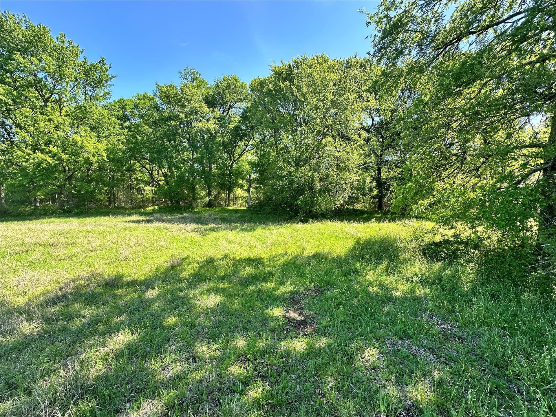 4.05 acres in Navarro County - photo 15