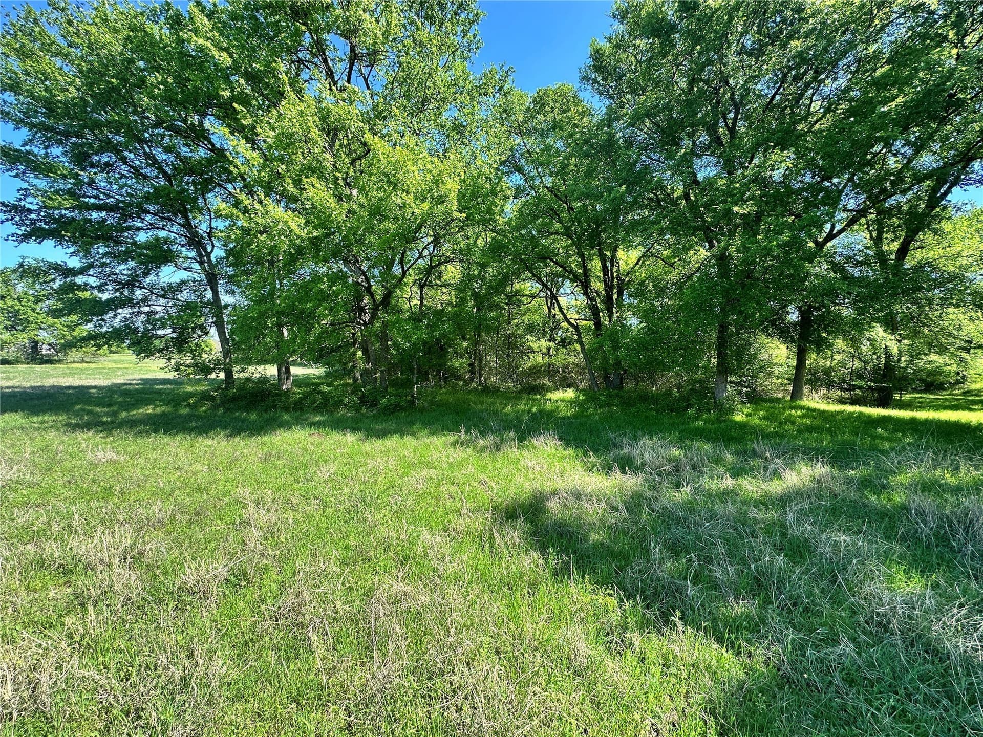 4.05 acres in Navarro County - photo 20