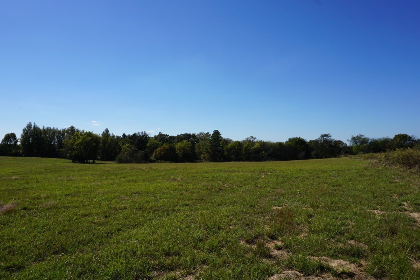 23 acres in Morris County - photo 24