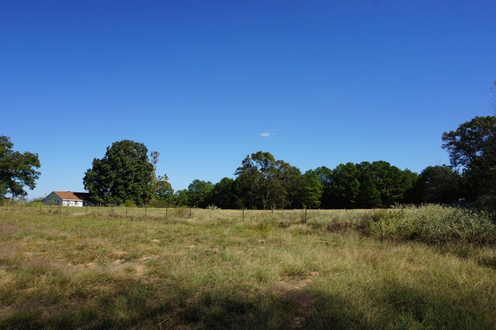 23 acres in Morris County - photo 19