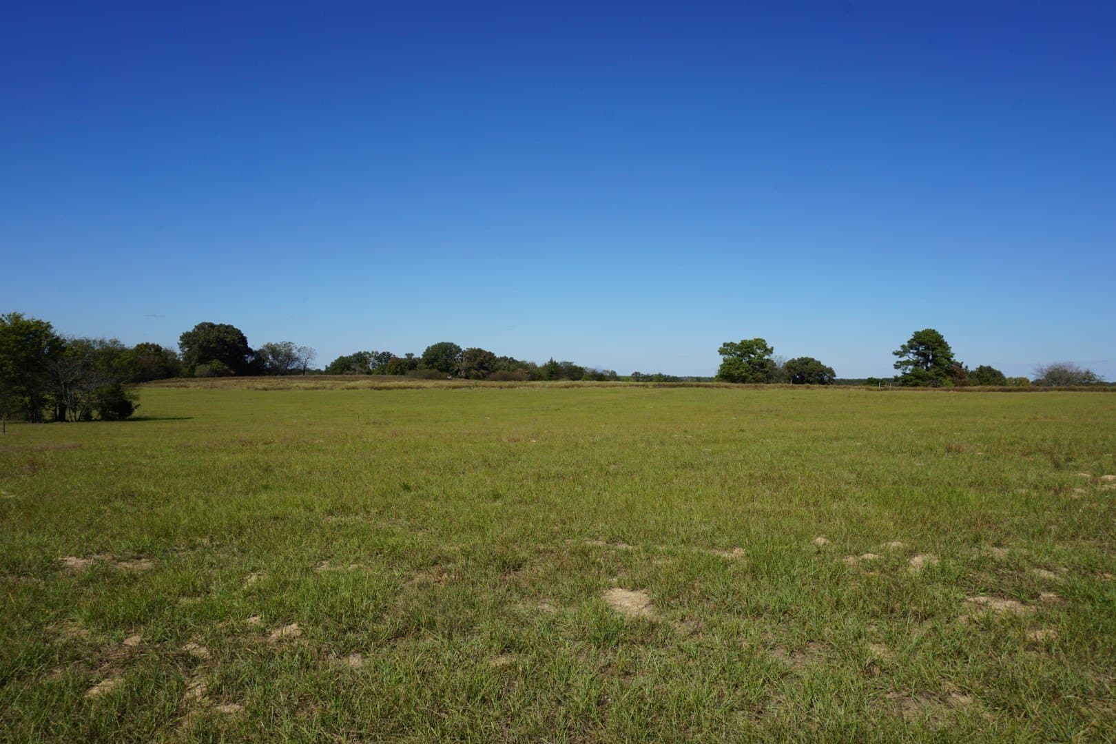 23 acres in Morris County - photo 20