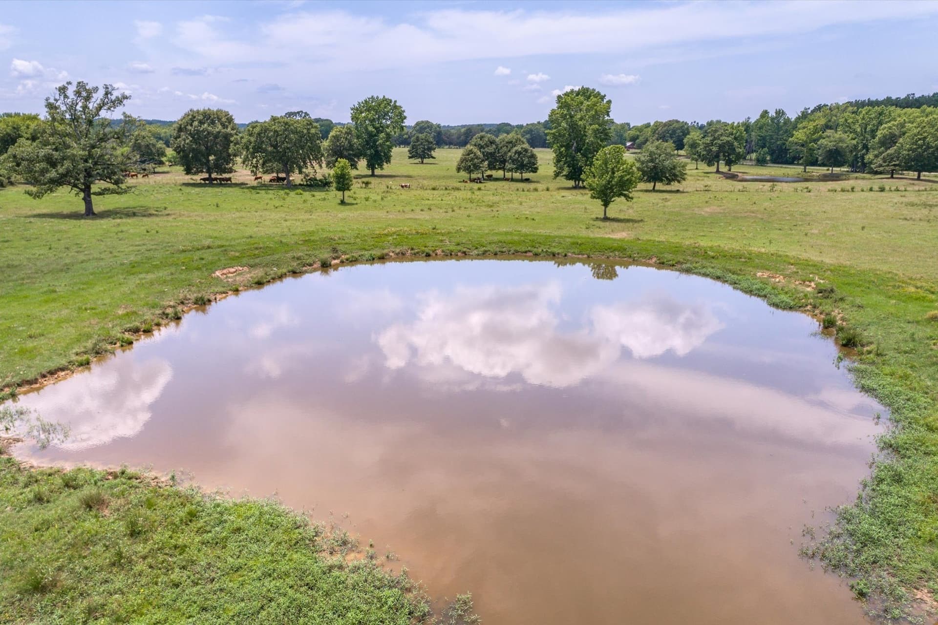 49.43 acres in Smith County - photo 15