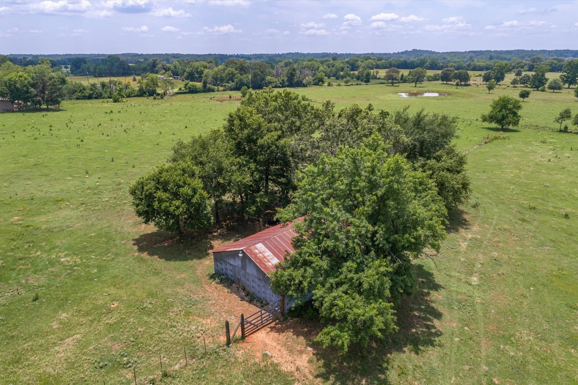 49.43 acres in Smith County - photo 9