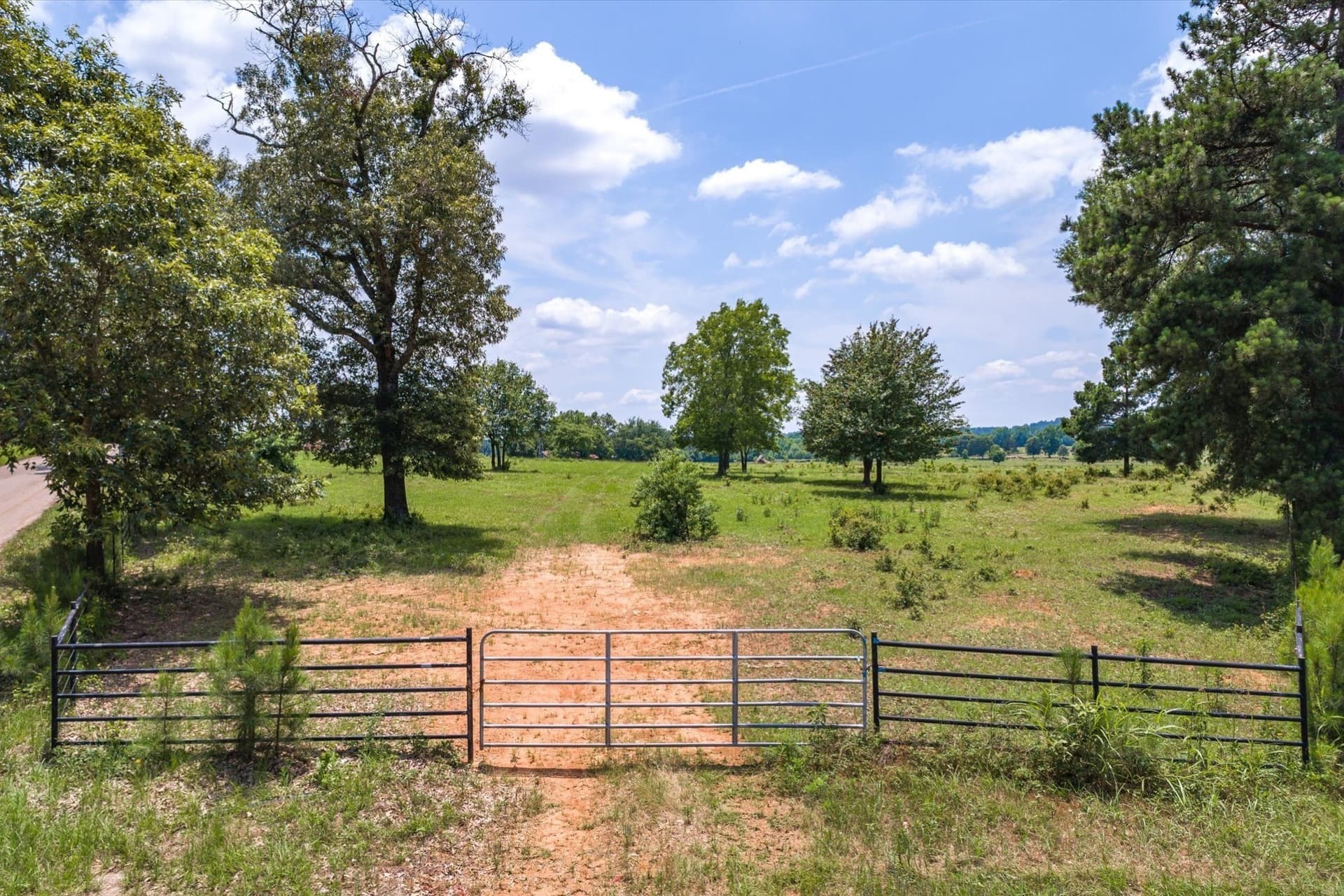 49.43 acres in Smith County gallery image 4
