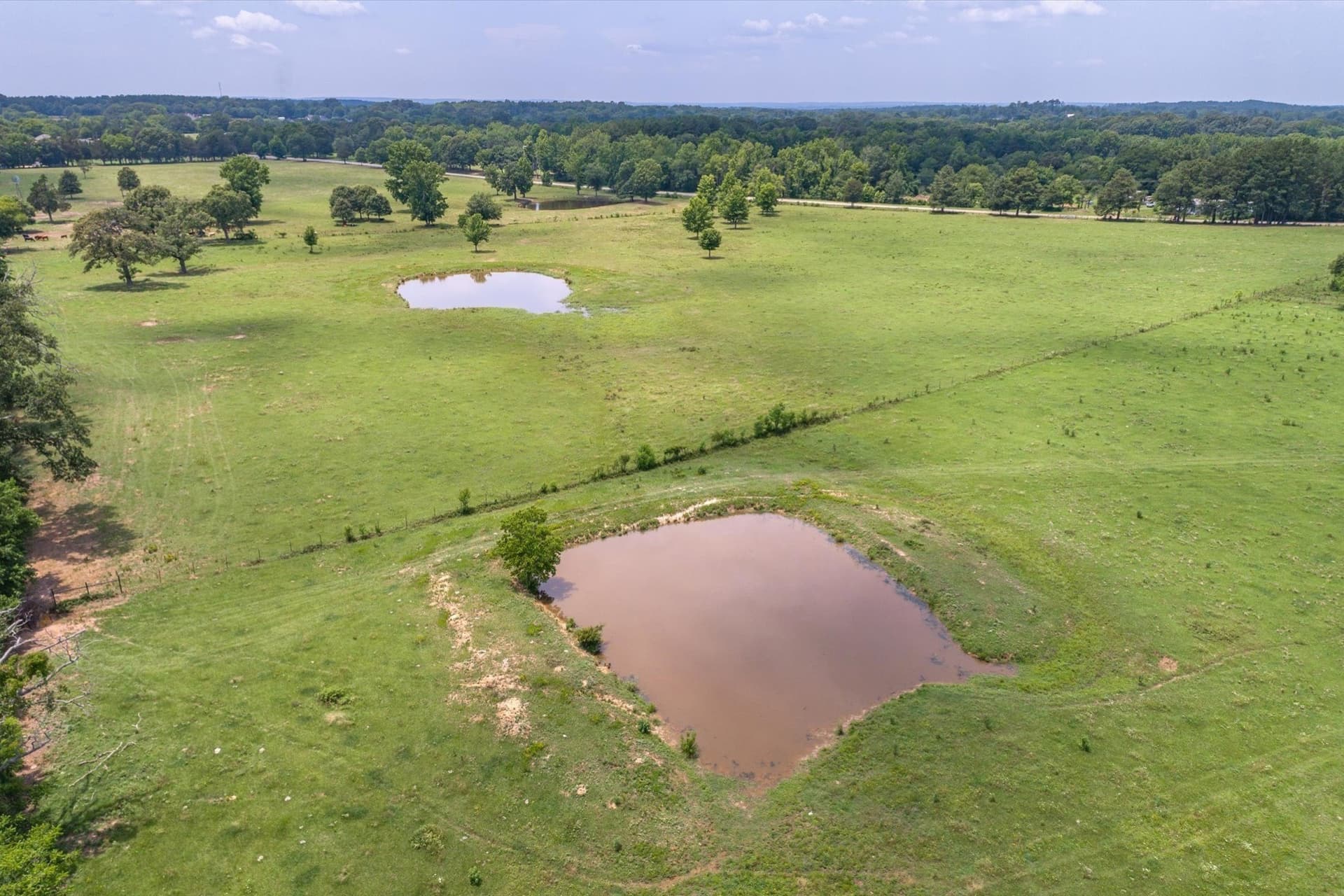 49.43 acres in Smith County - photo 13