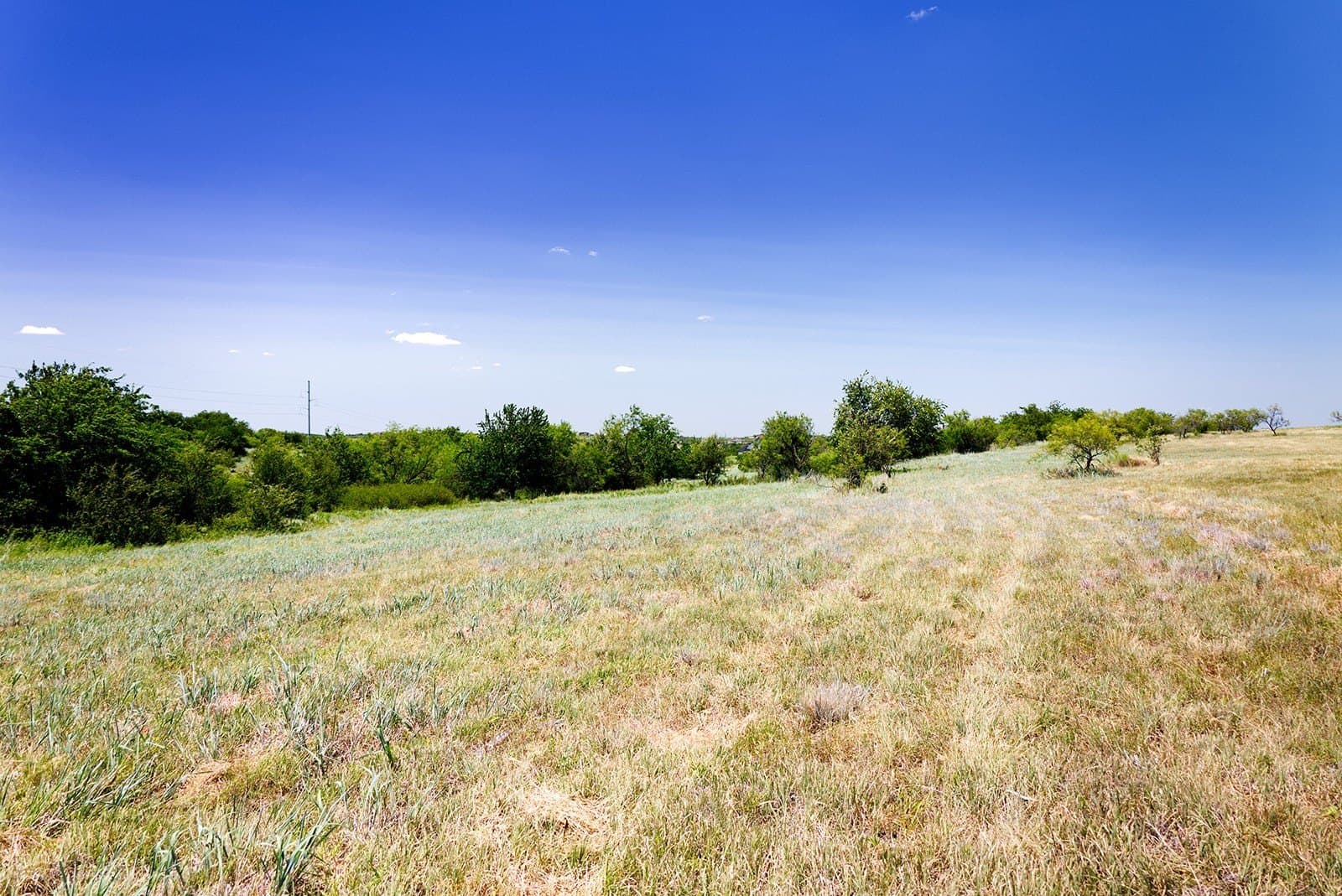 3.21 acres in Parker County - photo 25