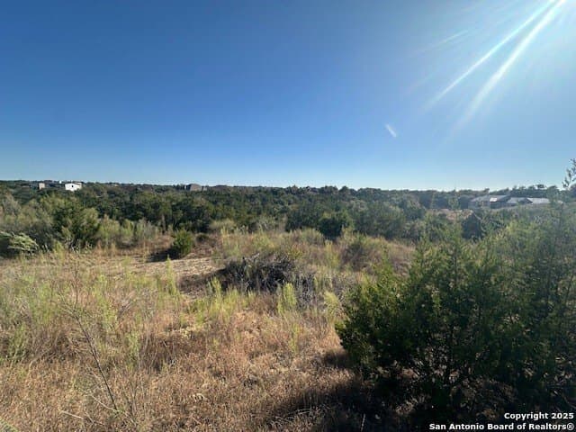 1.01 acres in Comal County gallery image 3
