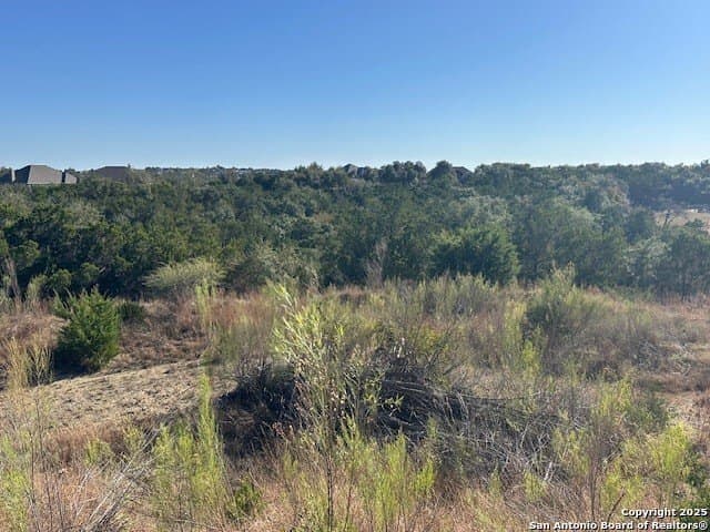 1.01 acres in Comal County gallery image 4