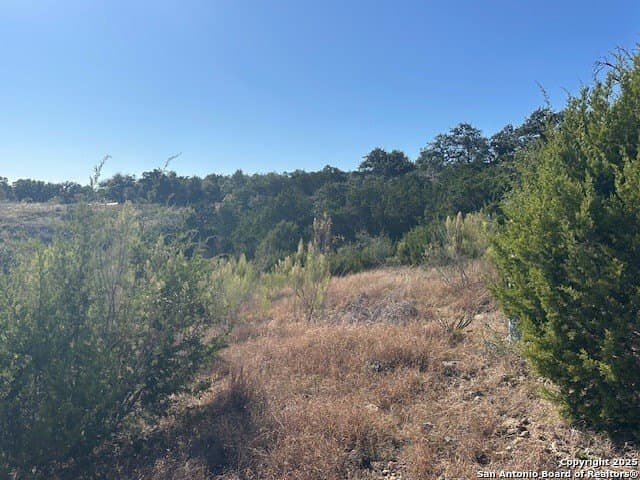 1.01 acres in Comal County gallery image 2