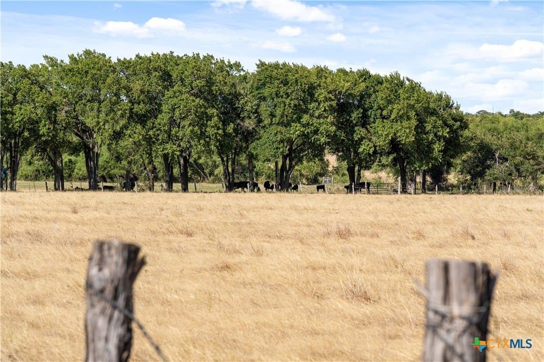 105.49 acres in Bell County - photo 28