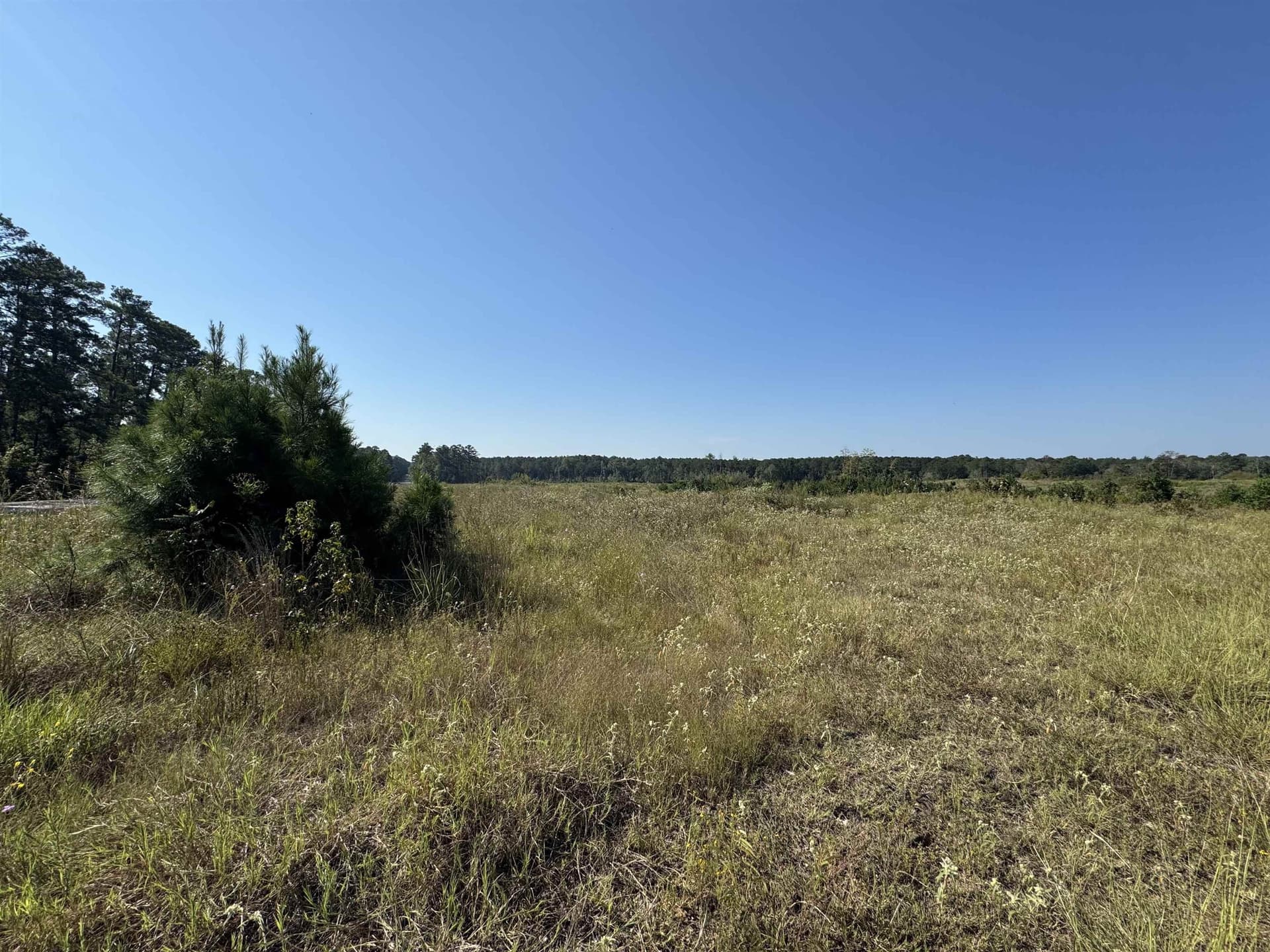 25 acres in Texas County gallery image 2