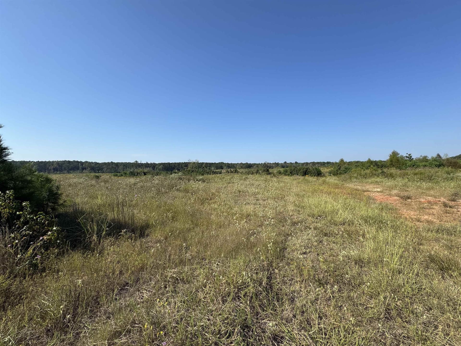 25 acres in Texas County gallery image 3