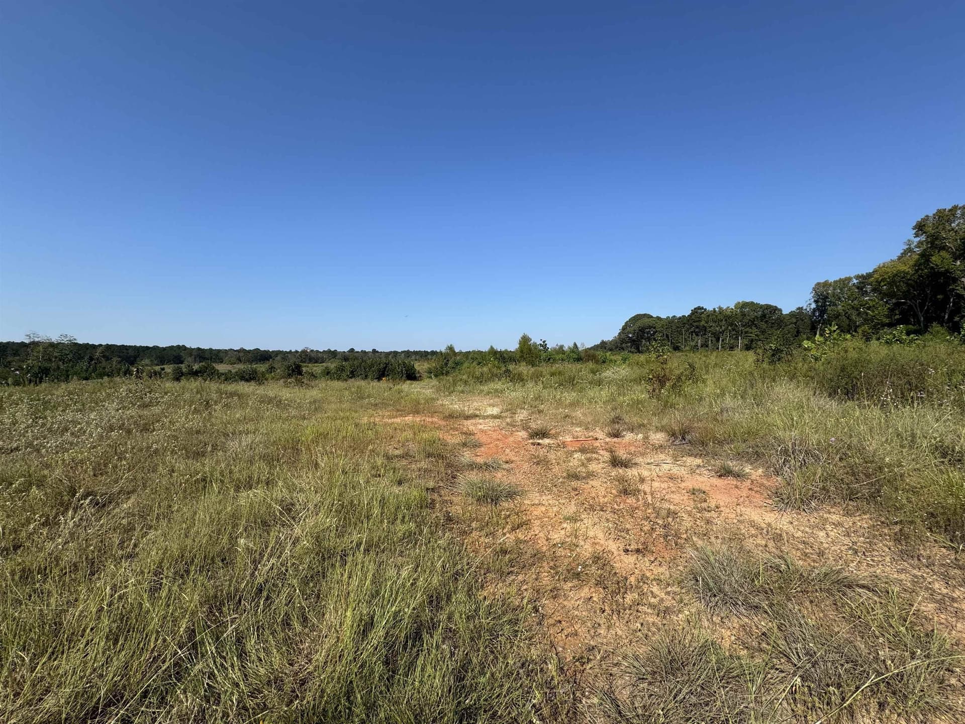 25 acres in Texas County