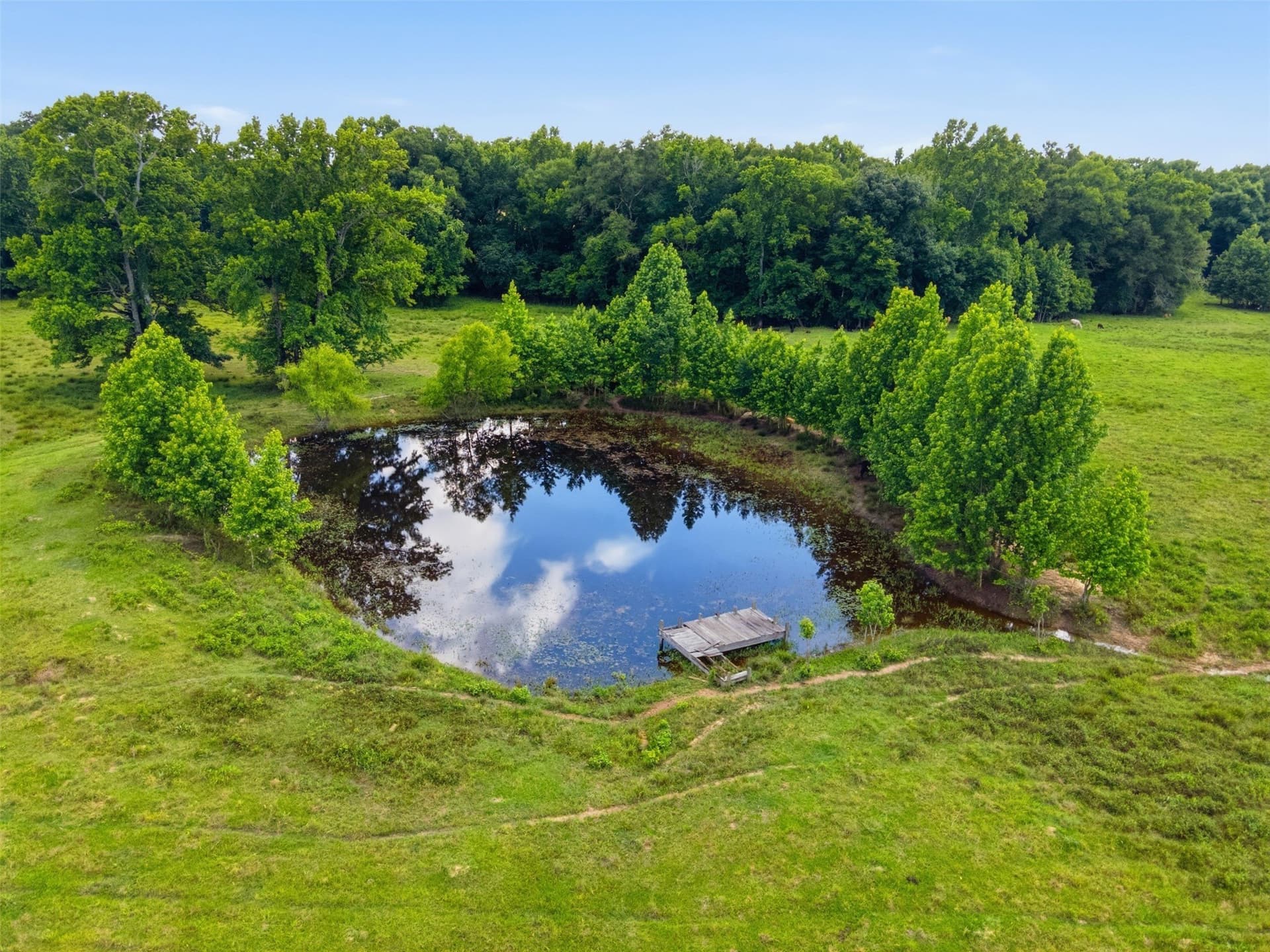 315 acres in Red River (TX) County gallery image 4