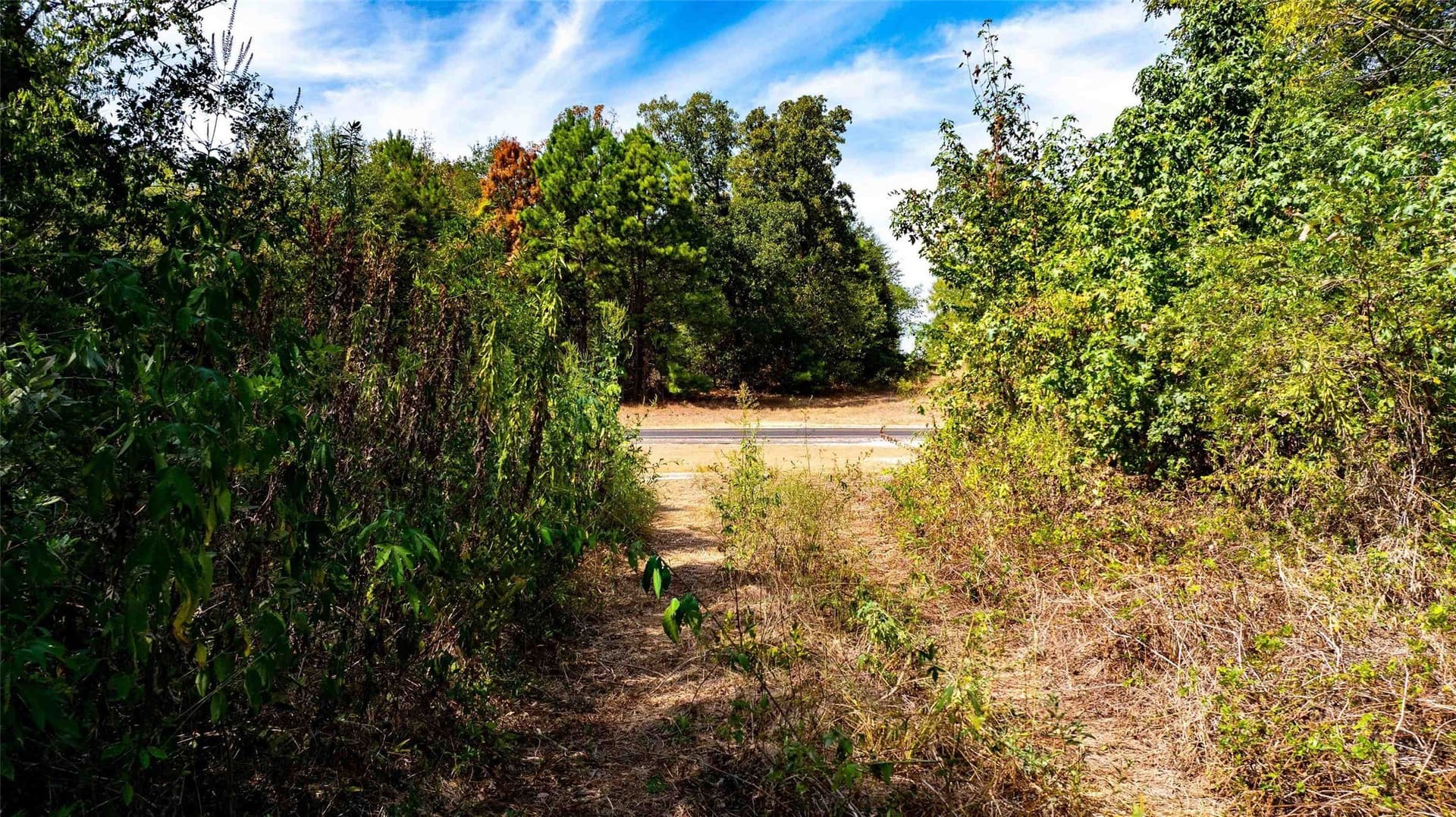 4.09 acres in Upshur County - photo 9
