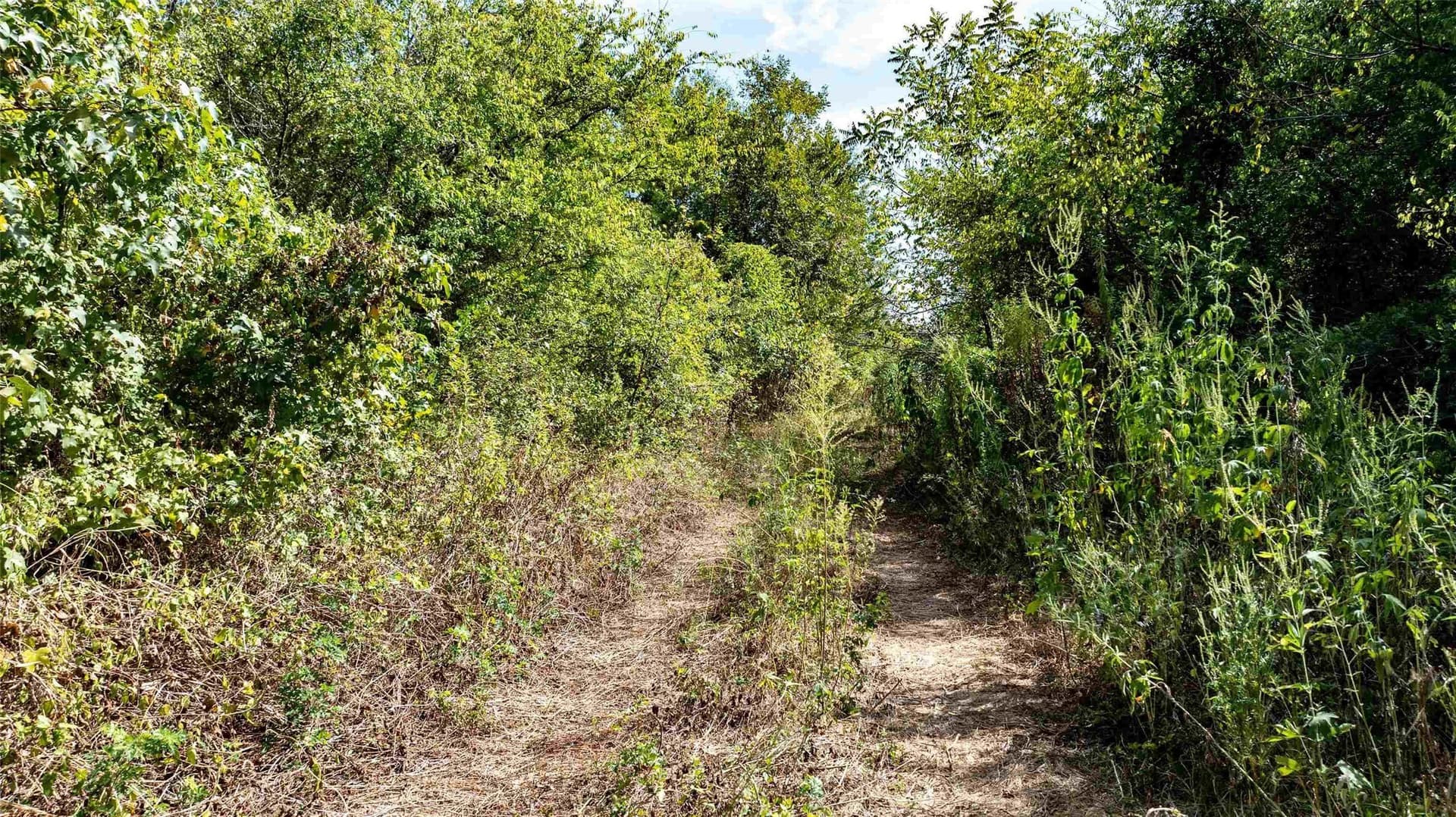 4.09 acres in Upshur County - photo 10