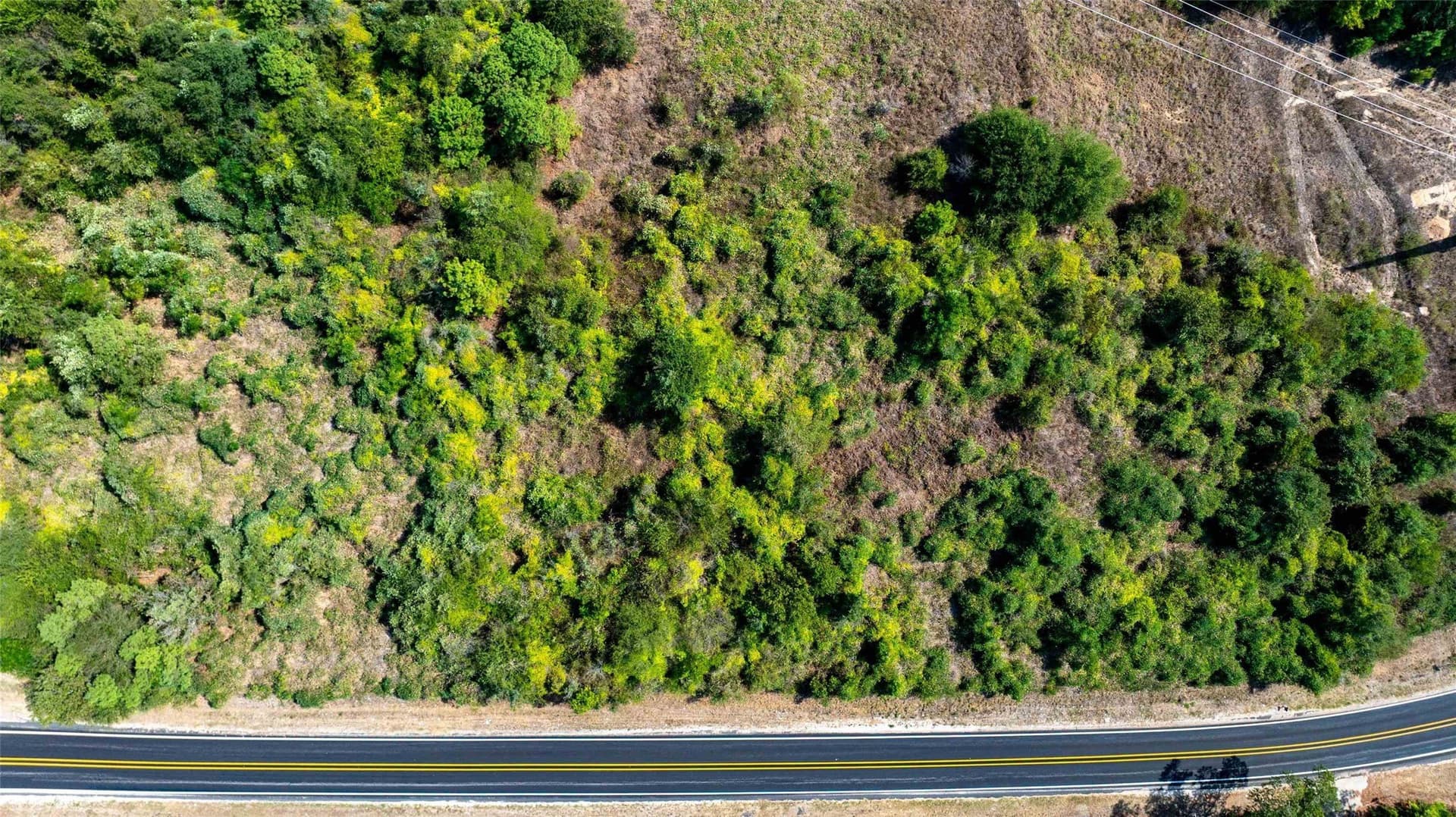 4.09 acres in Upshur County - photo 6