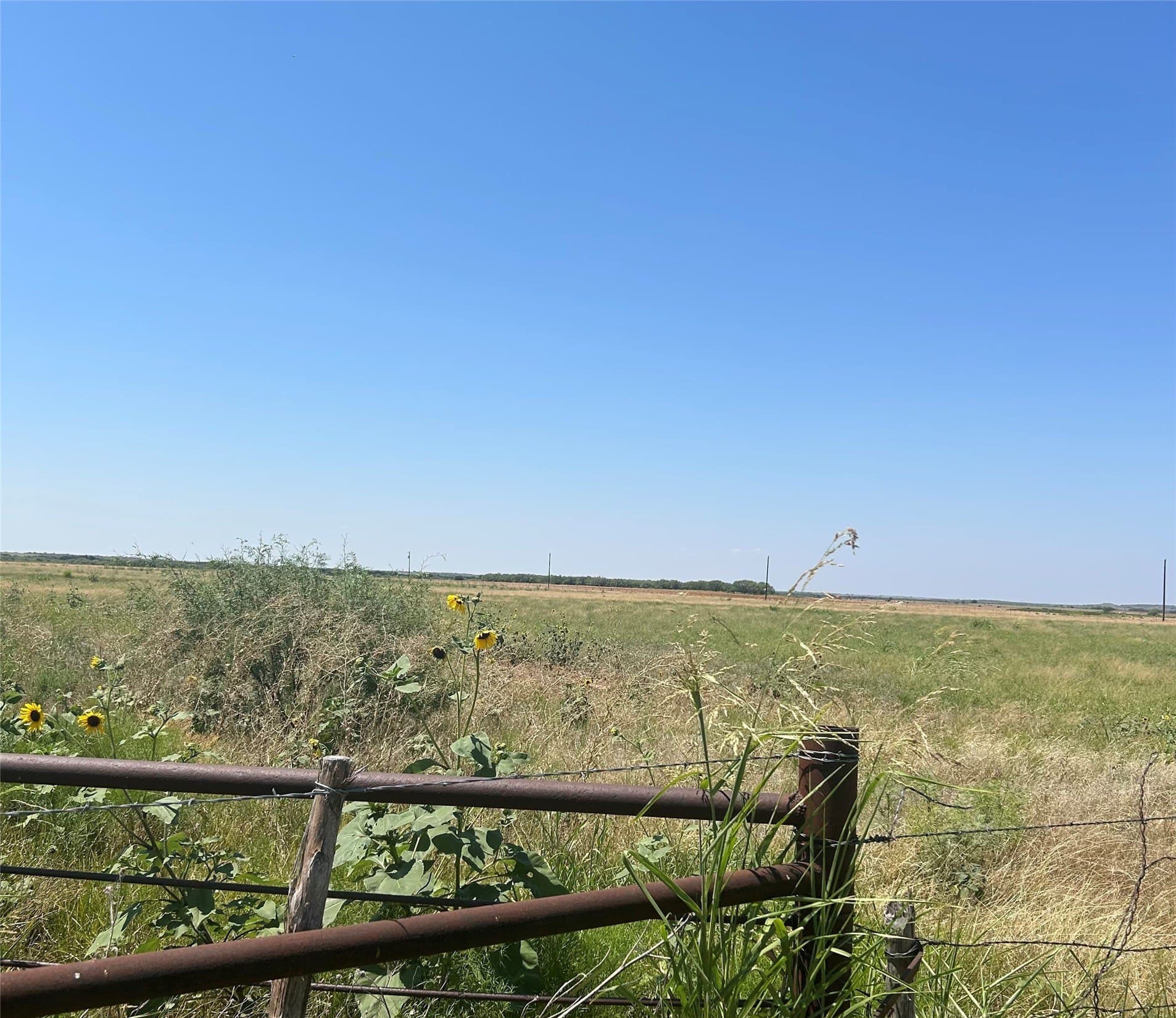 10 acres in Young County - photo 2