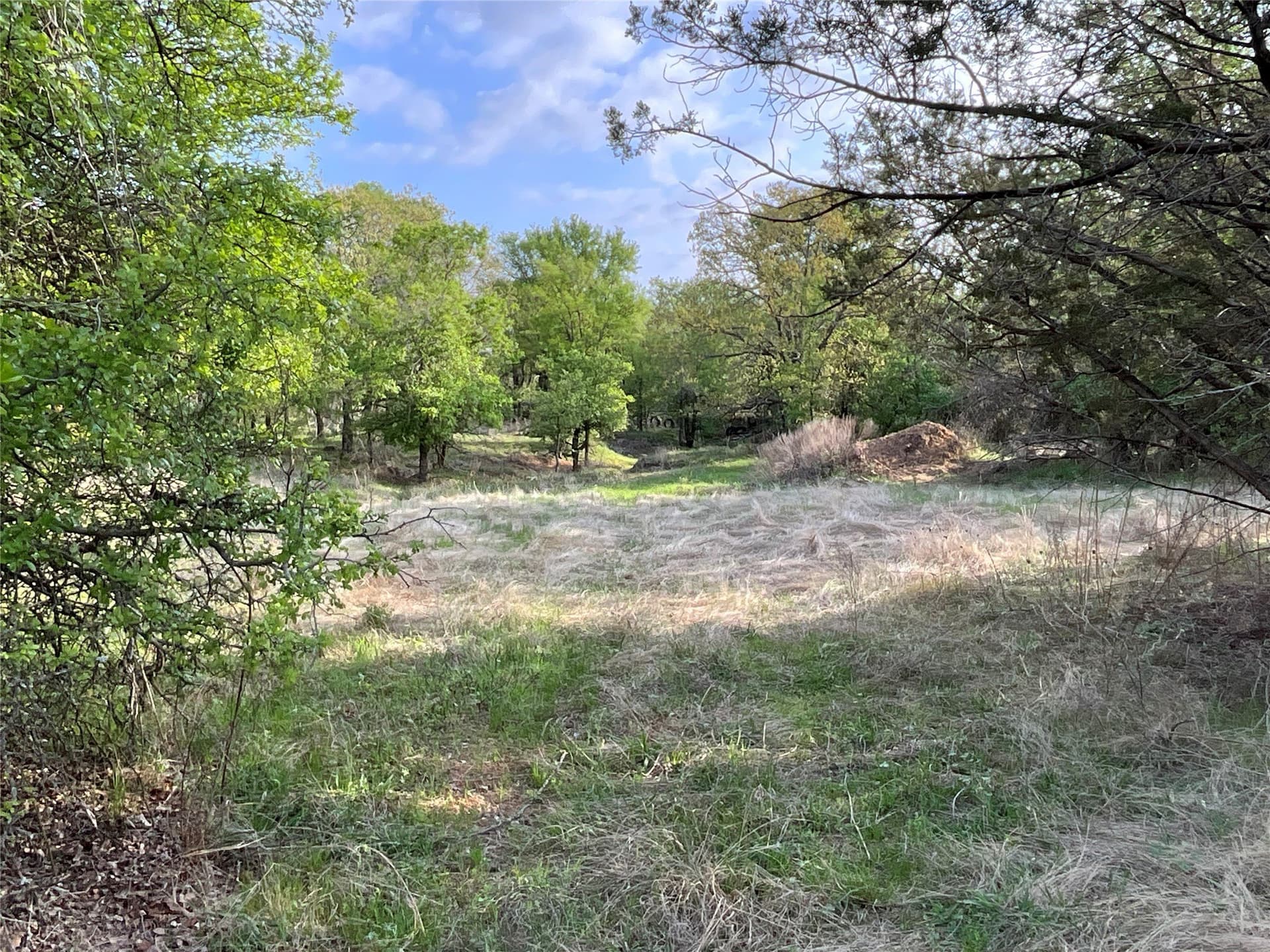 24.13 acres in Palo Pinto County - photo 8