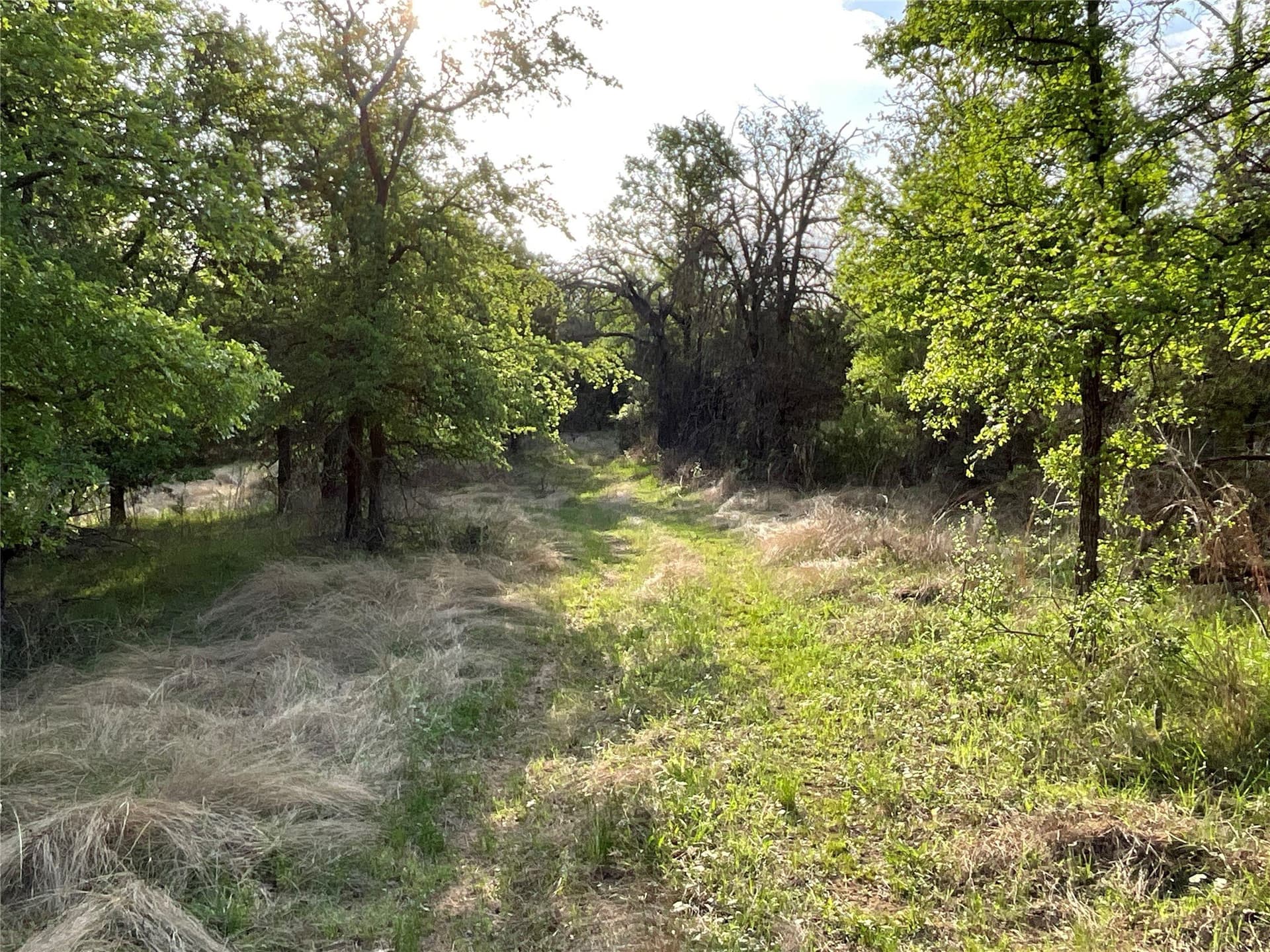 24.13 acres in Palo Pinto County - photo 9
