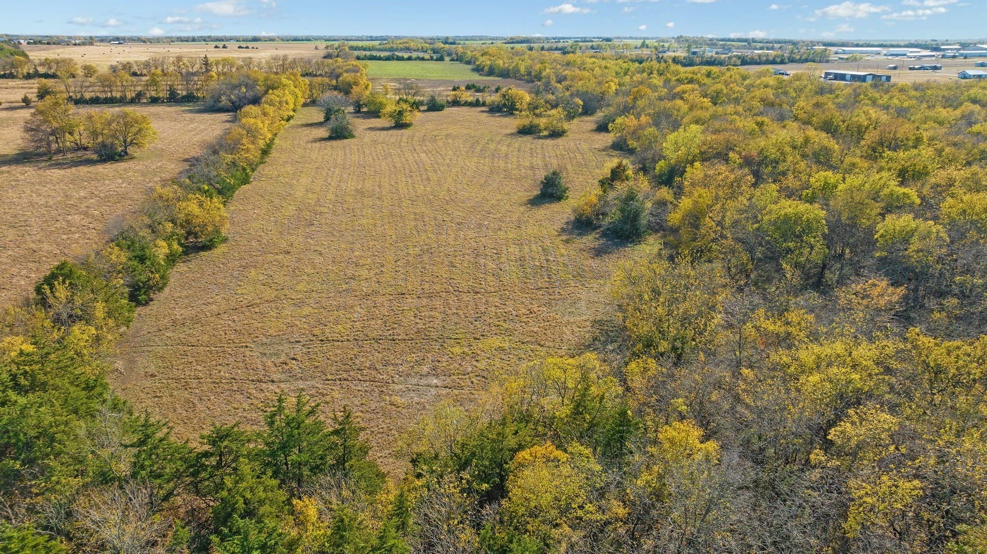 76.86 acres in Lamar County - photo 19
