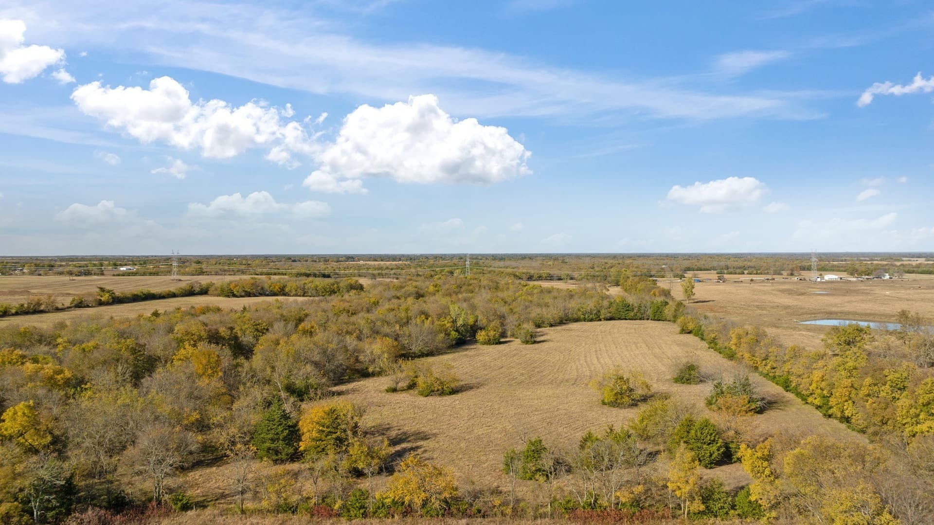 76.86 acres in Lamar County - photo 13