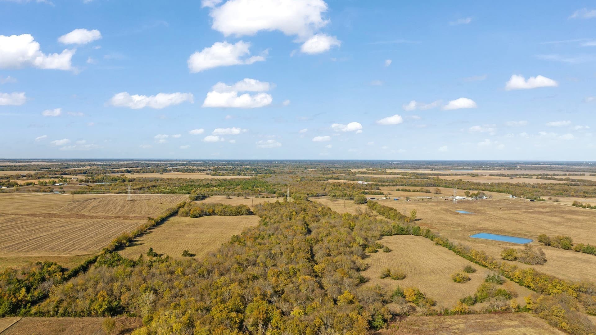 76.86 acres in Lamar County - photo 9