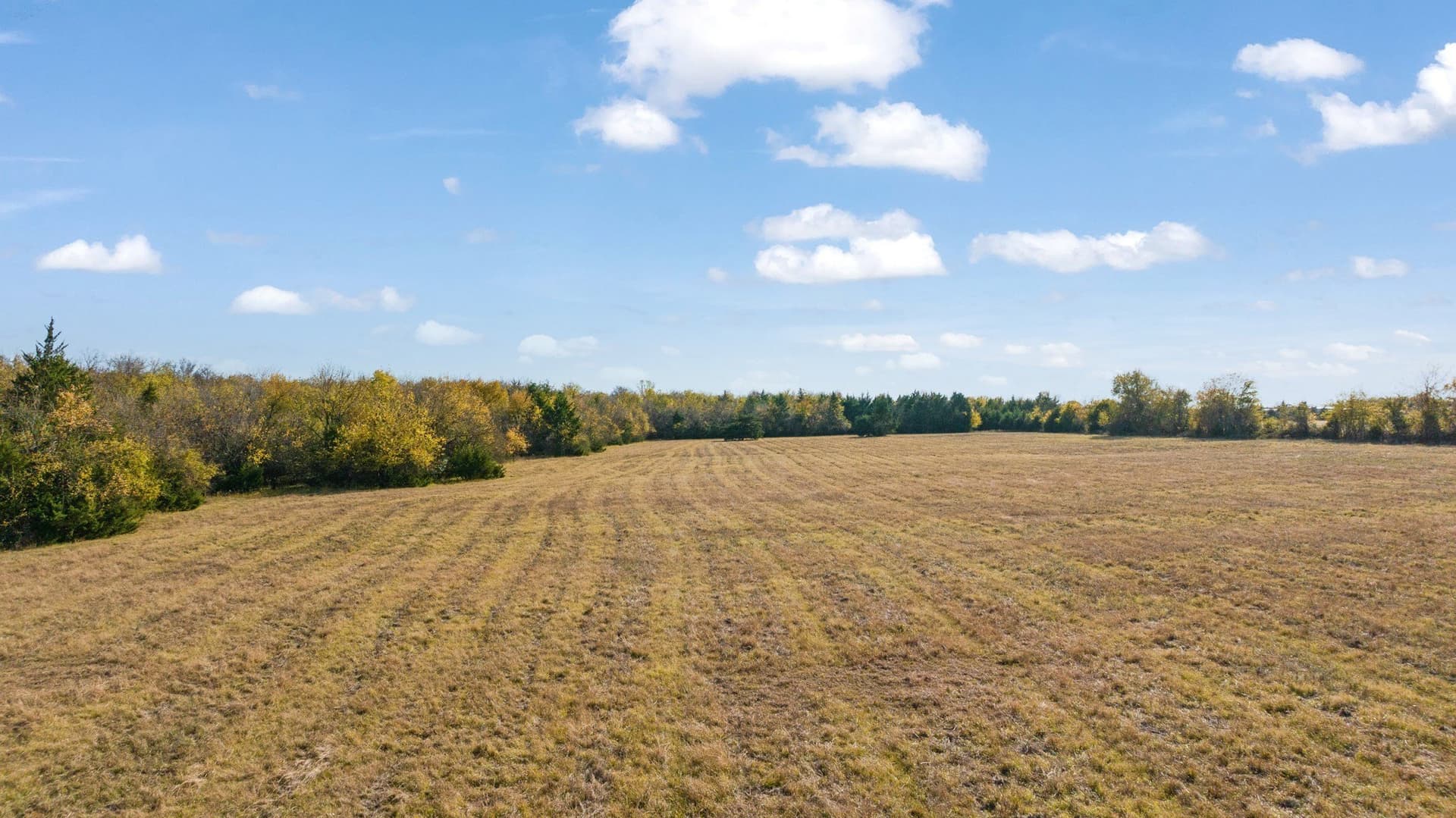 76.86 acres in Lamar County - photo 16
