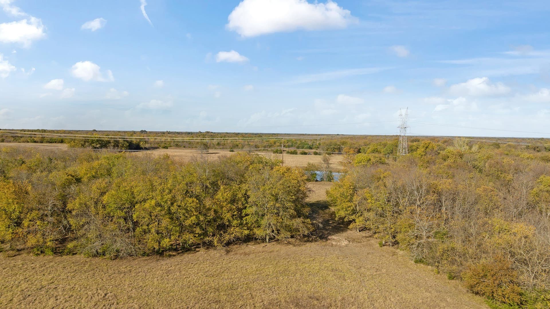 76.86 acres in Lamar County - photo 15