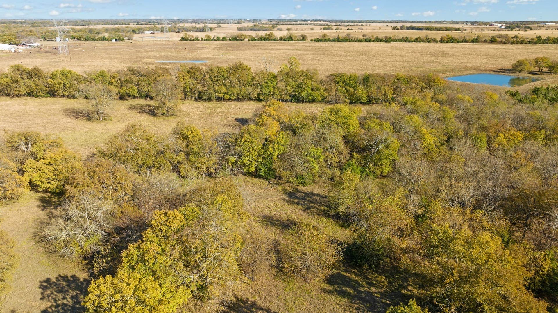 76.86 acres in Lamar County - photo 18