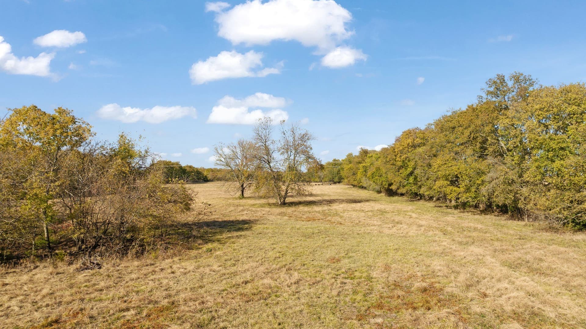 76.86 acres in Lamar County - photo 20