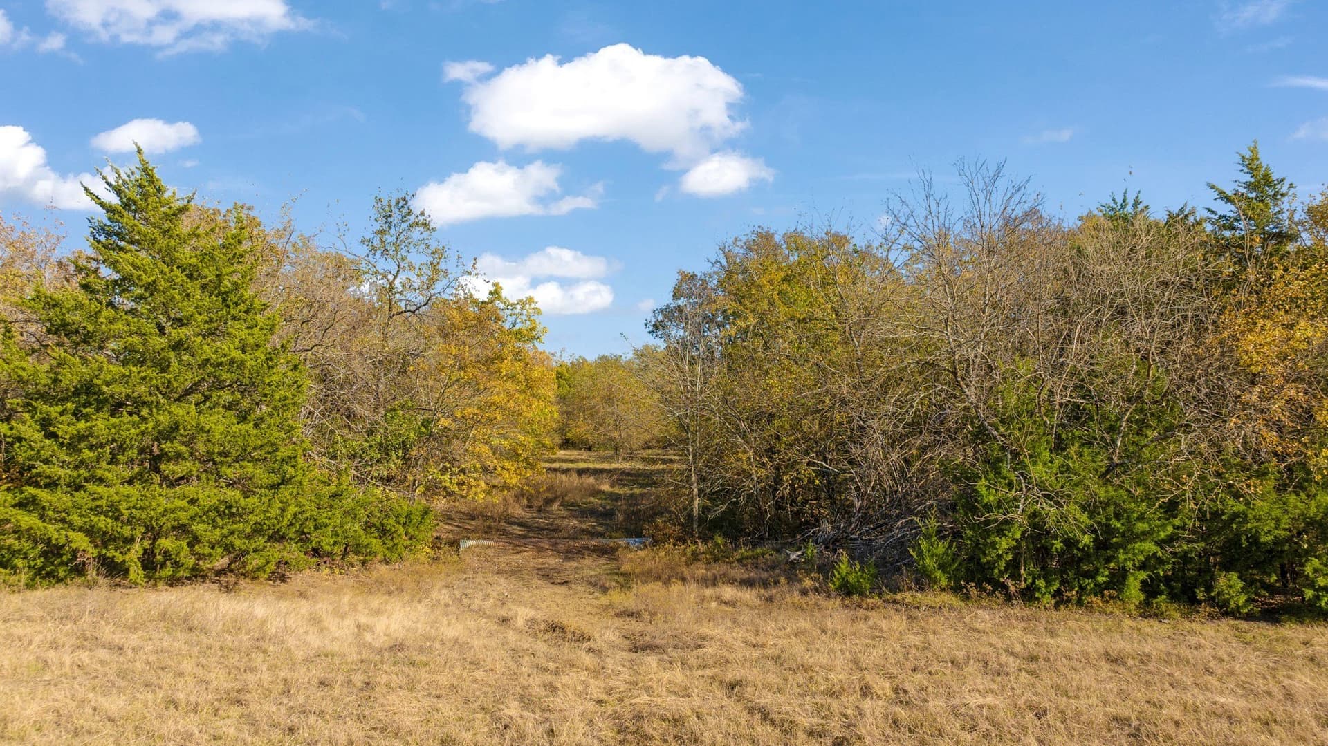 76.86 acres in Lamar County - photo 17