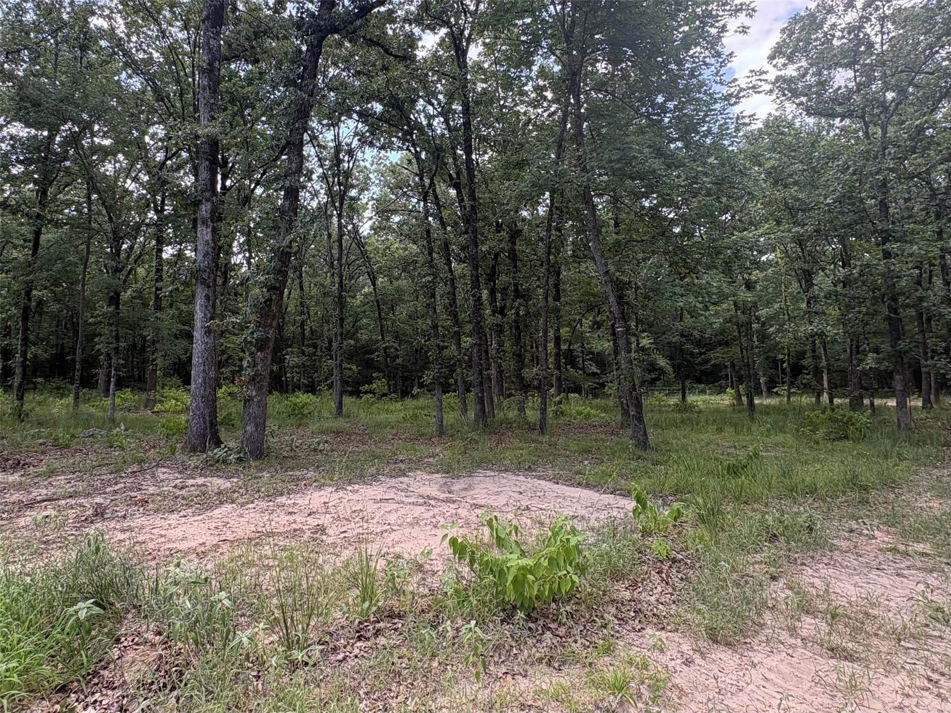 1 acres in Wood County - photo 5