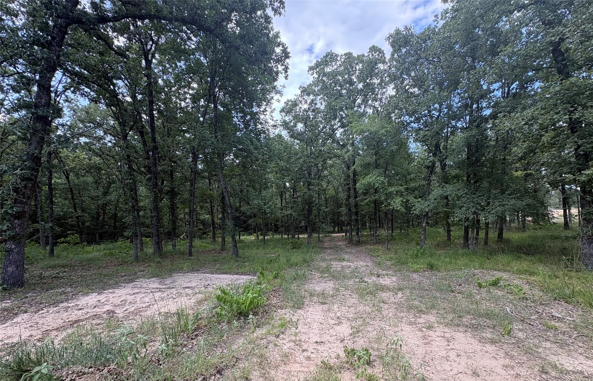 1 acres in Wood County - photo 7