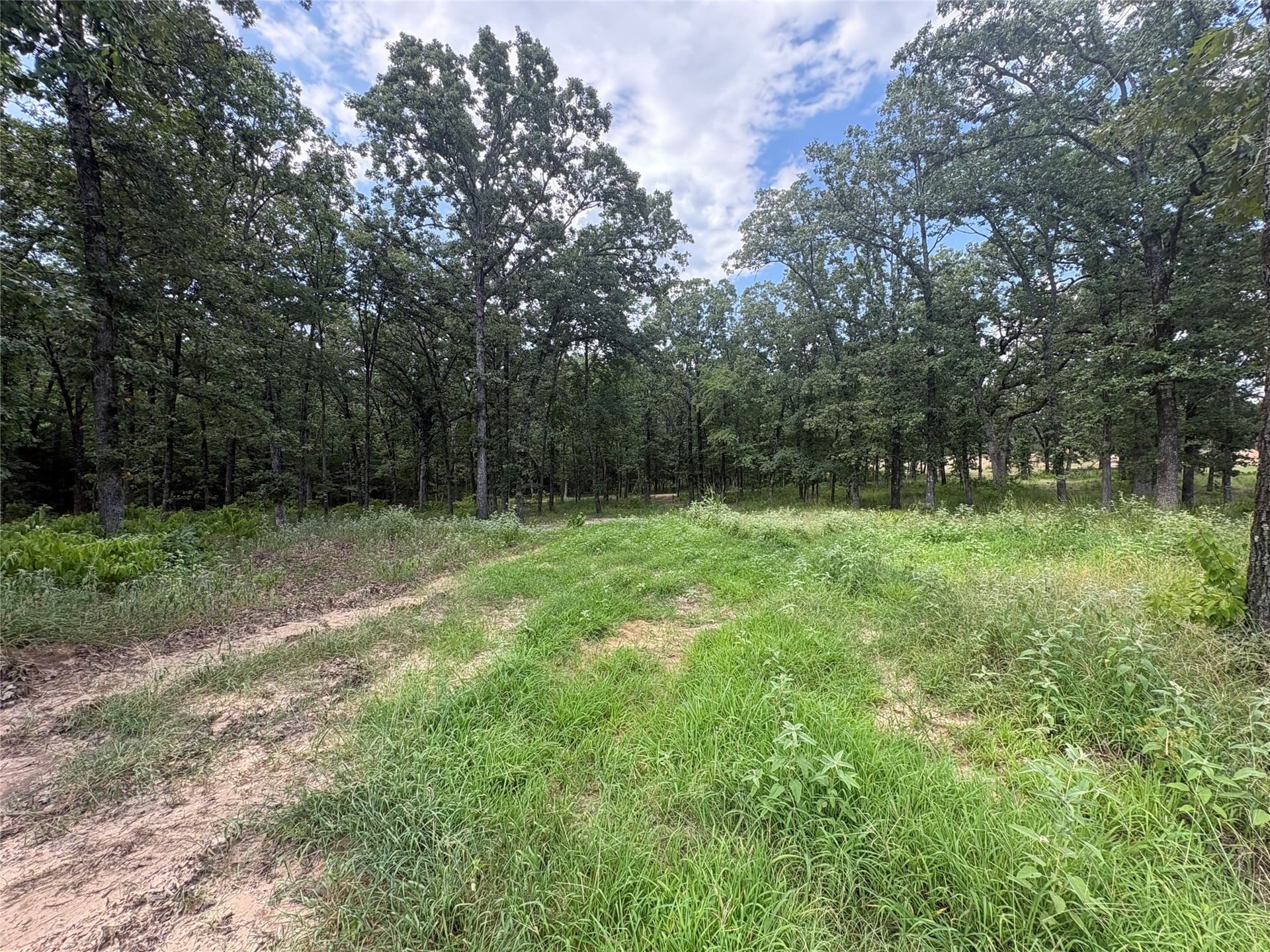 1 acres in Wood County - photo 2