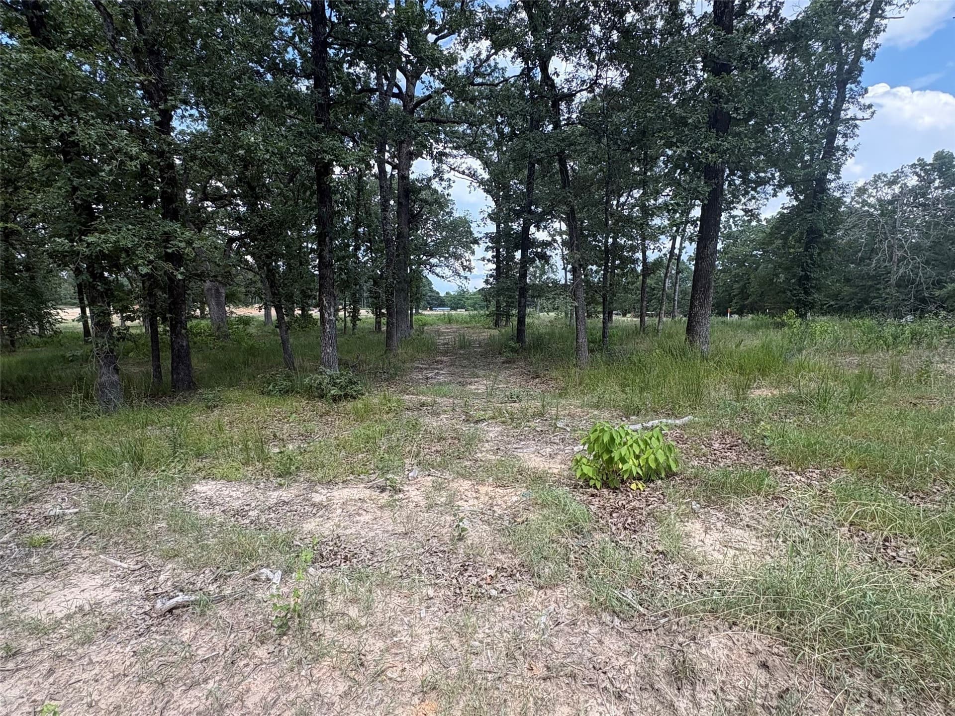 1 acres in Wood County - photo 6