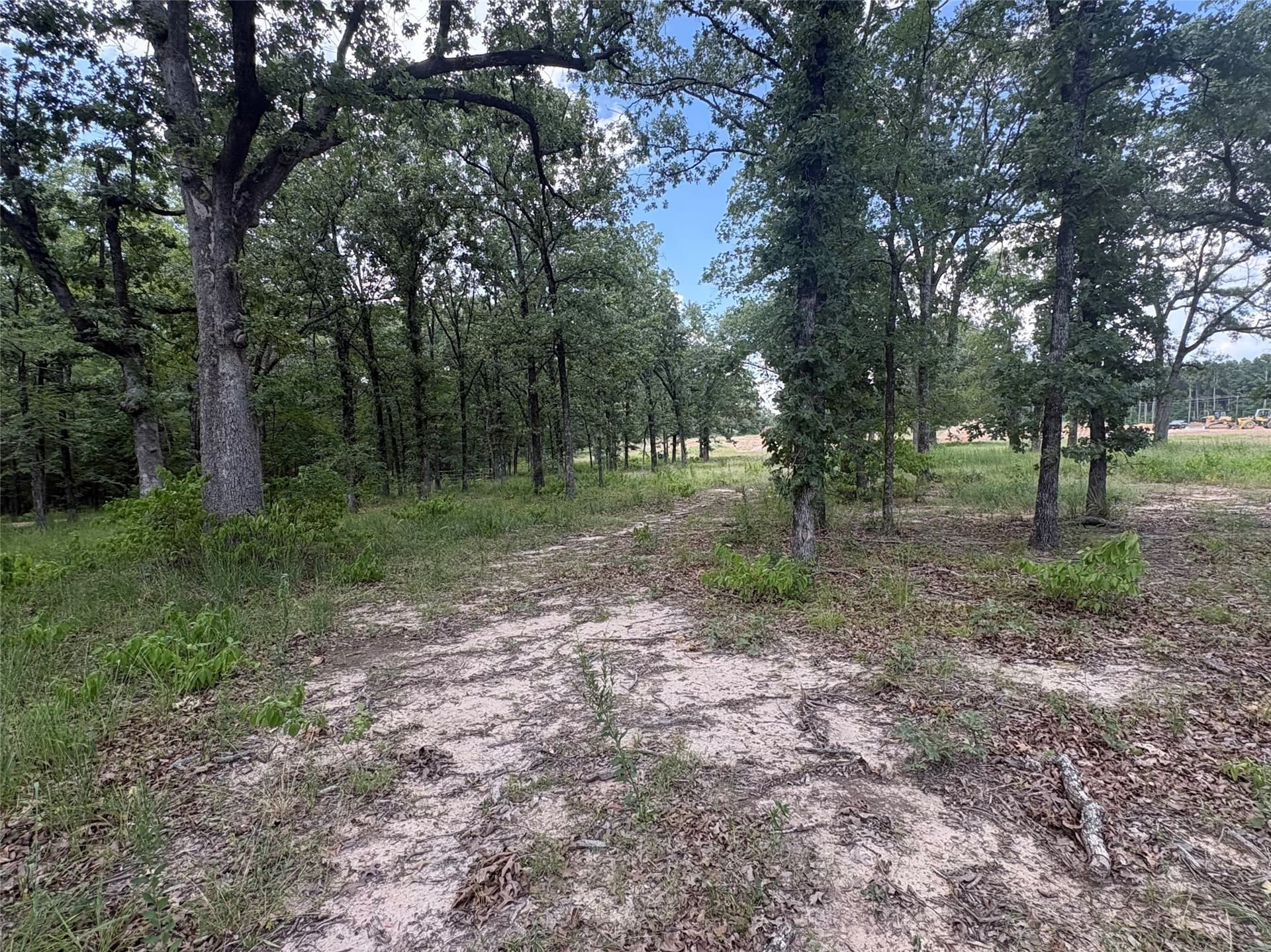 1 acres in Wood County - photo 8