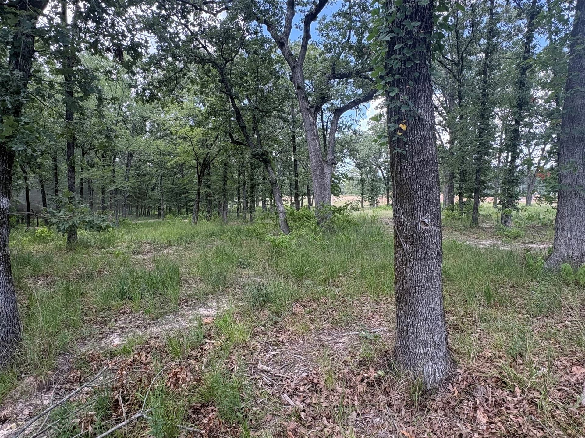 1 acres in Wood County - photo 3