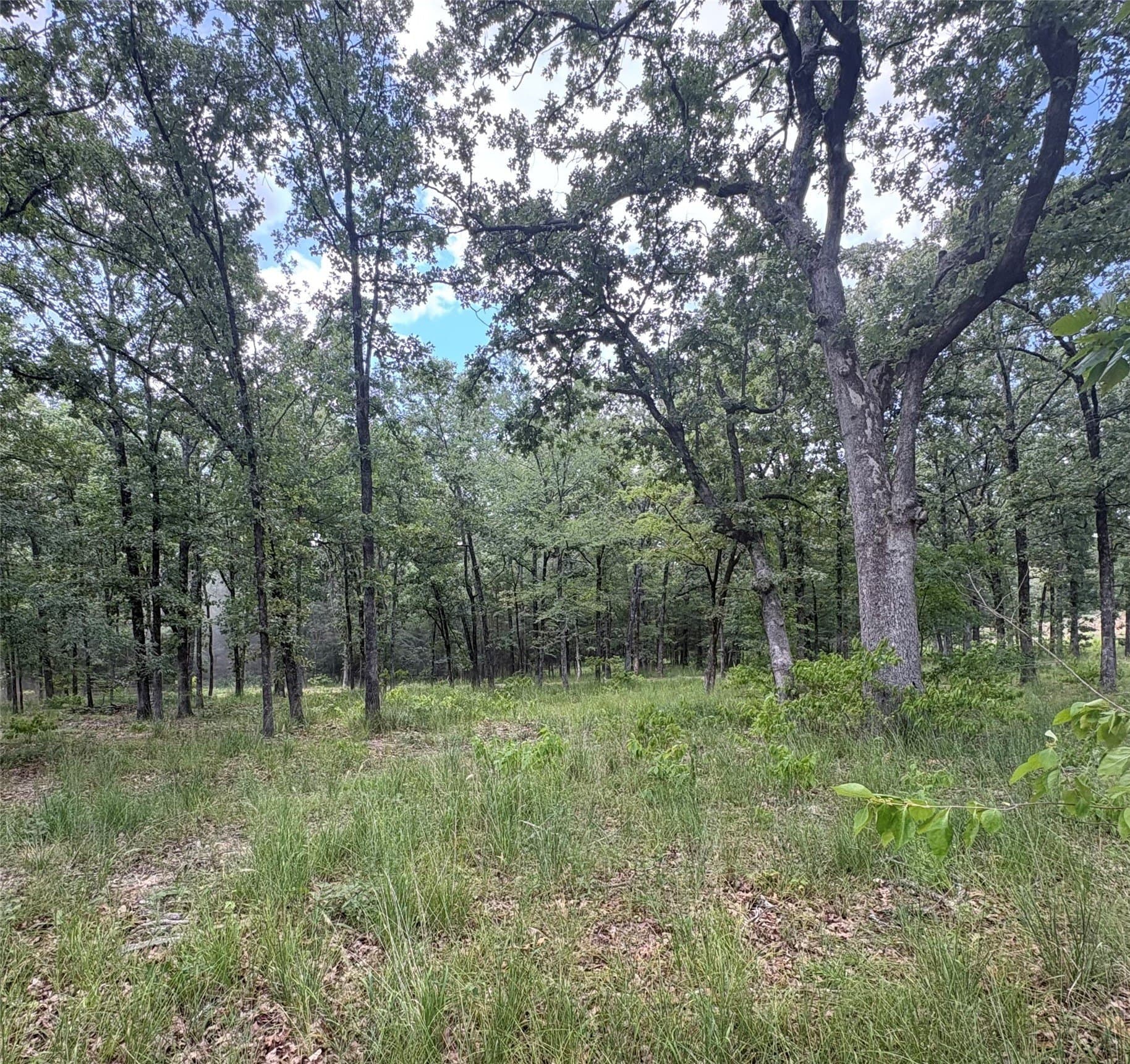 1 acres in Wood County - photo 4