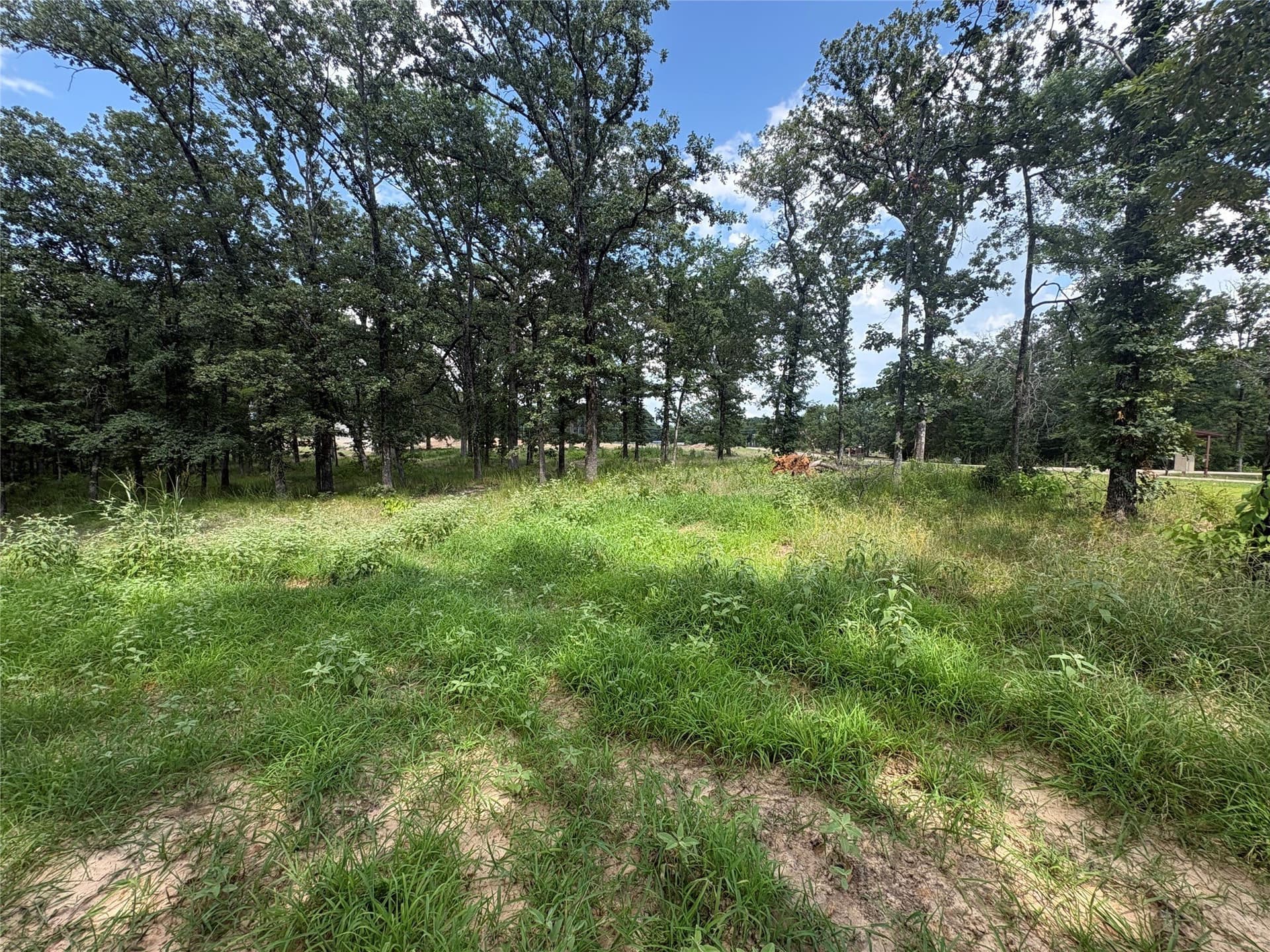 1 acres in Wood County - photo 9
