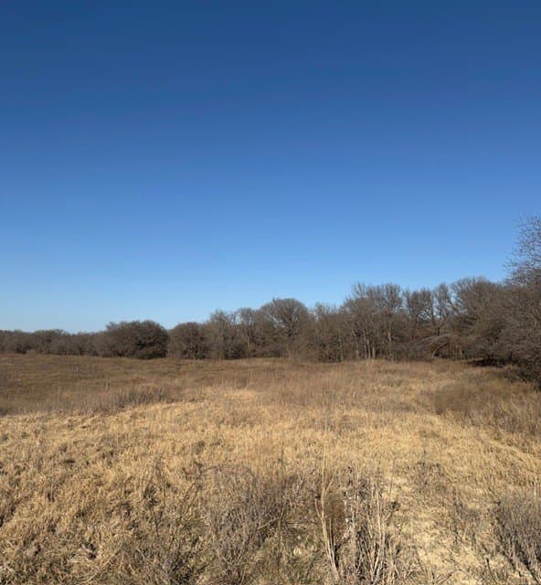 10.37 acres in Hill County - photo 21