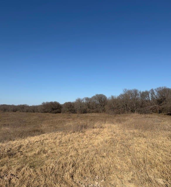 10.37 acres in Hill County - photo 17