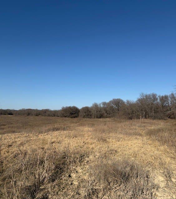 10.37 acres in Hill County - photo 19
