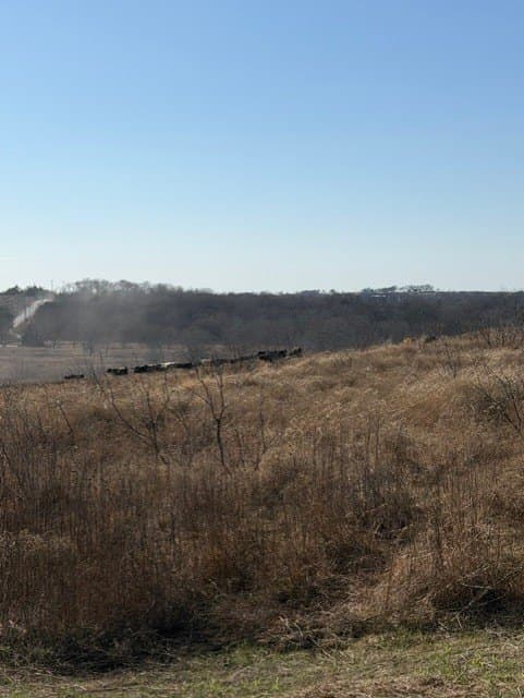 10.37 acres in Hill County gallery image 2