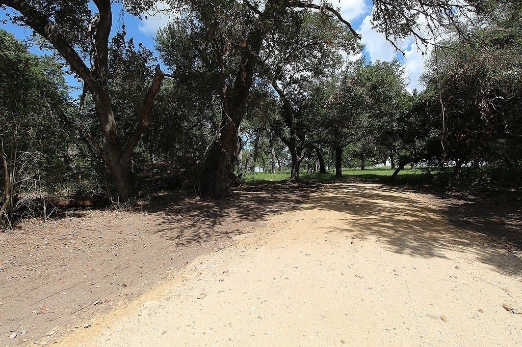 23.89 acres in Fayette County - photo 10