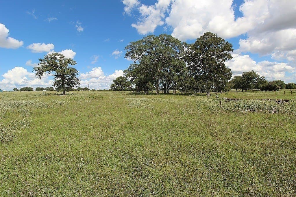 23.89 acres in Fayette County - photo 8